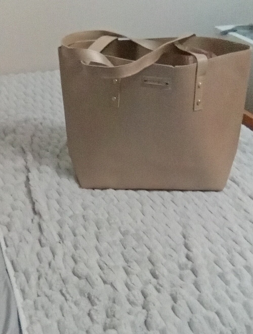Classic Nude Tote Bag - Spacious Everyday Handbag